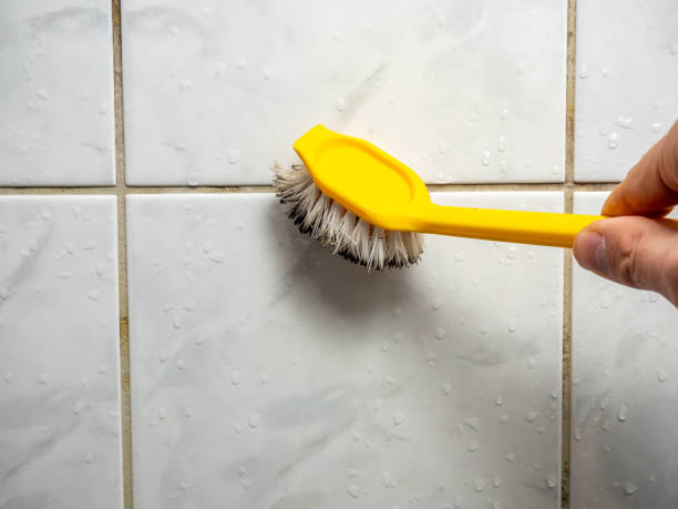 Best Insurance-Related Mold Remediation in Clarksville, VA