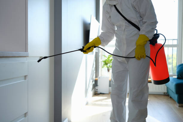 Best Attic Mold Remediation in Clarksville, VA