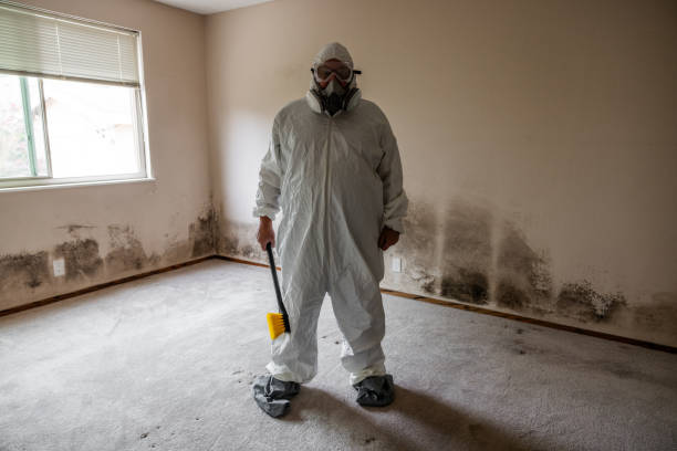 Best Mold Testing and Inspection Services in Clarksville, VA