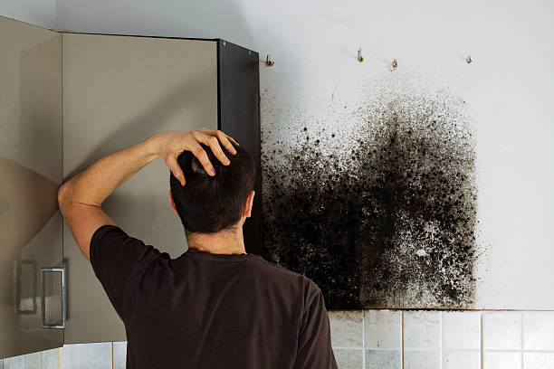 Best Emergency Mold Remediation in Clarksville, VA